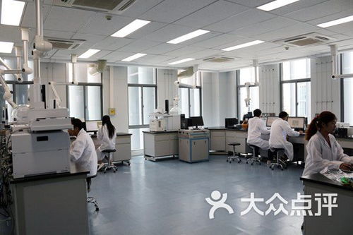 武漢市政科技信息研發中心生物科技培訓課程 價格、簡介與學習體驗全解析
